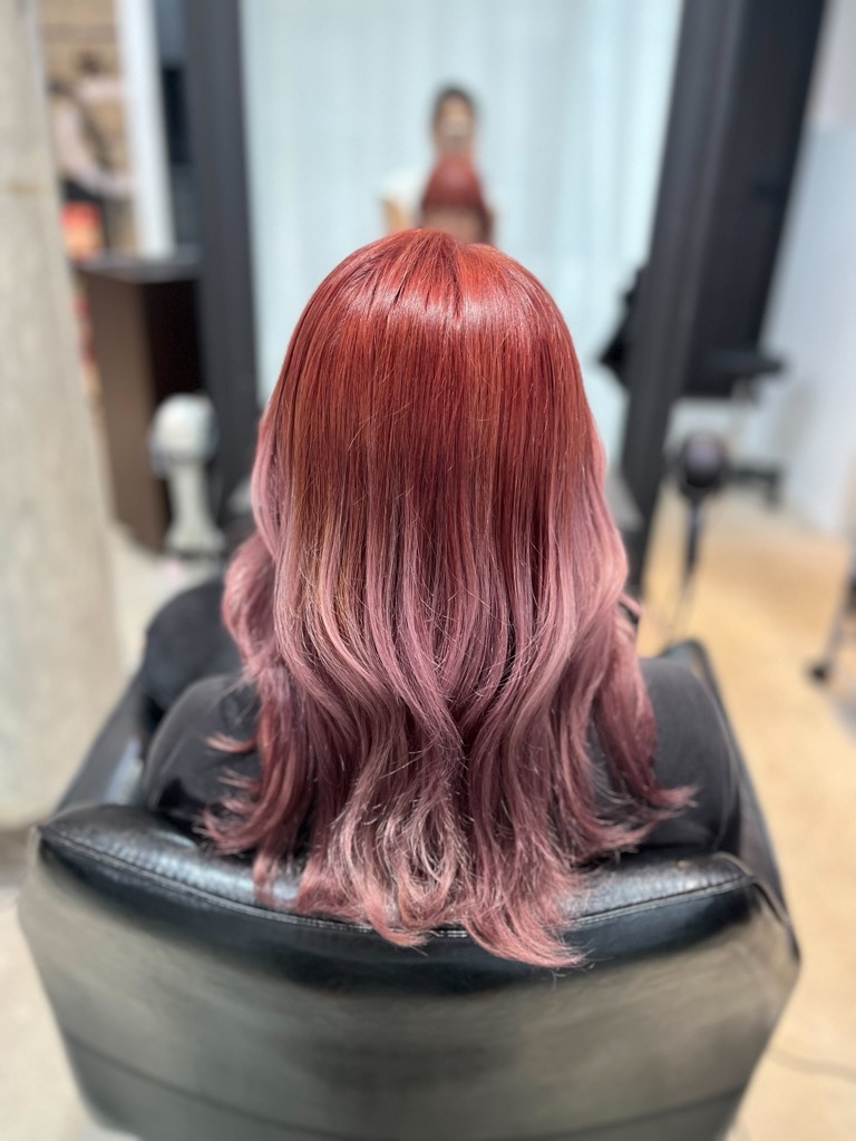 Highlights